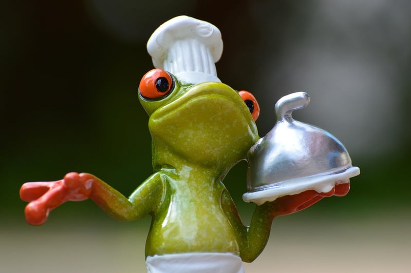 Culinary Adventure